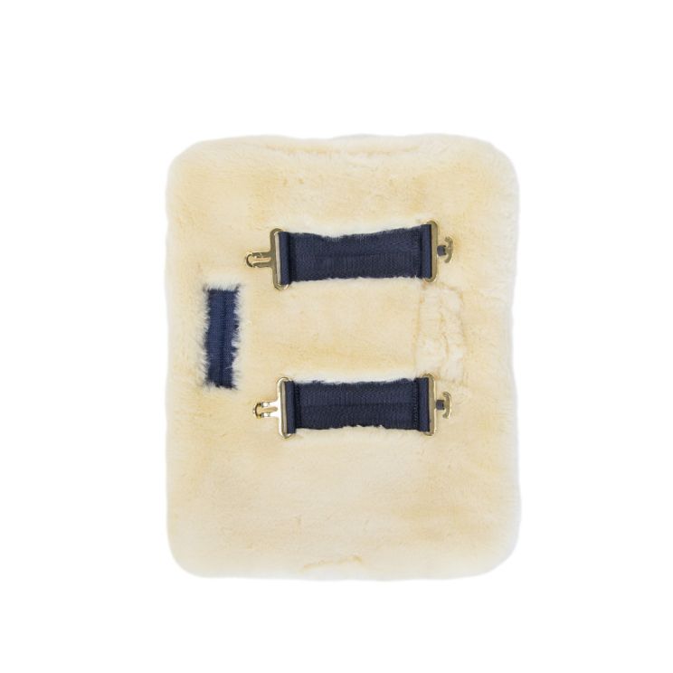 Kentucky vegn borstverbreder