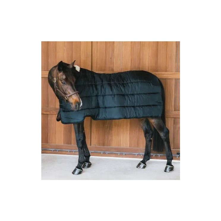 Kentucky Turnout Rug Comfort Liner Pro 100G