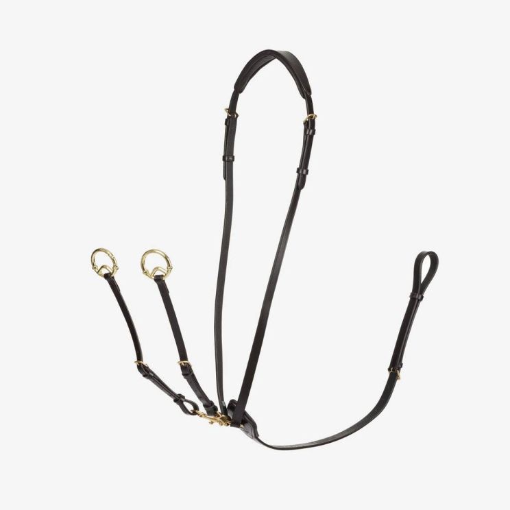 LeMieux Martingal Kudos