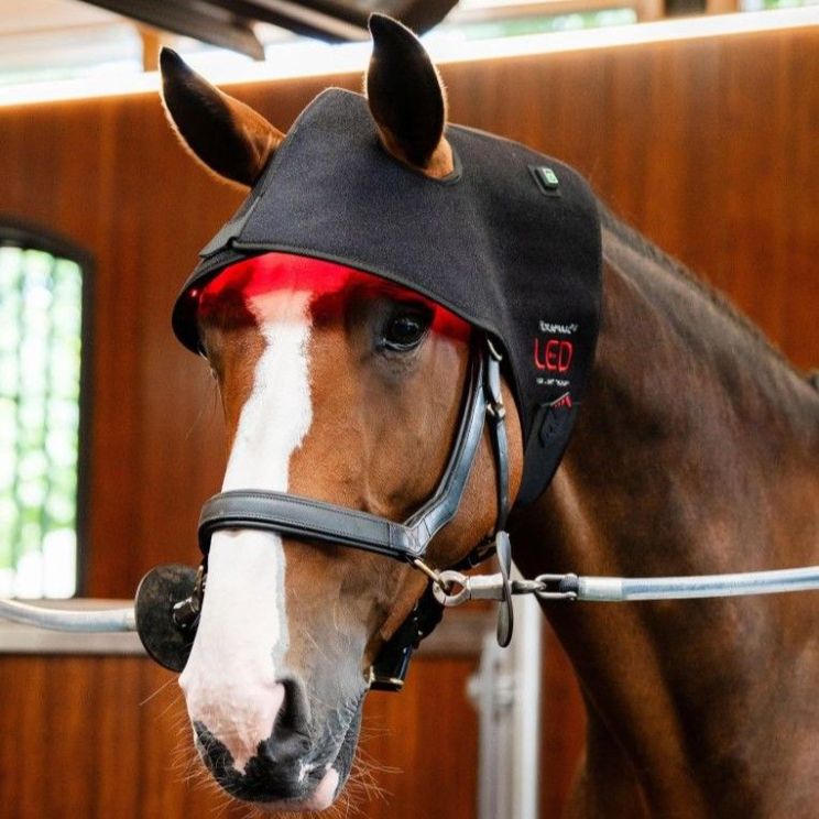 Horseware Therapy Cap LED Red Light
