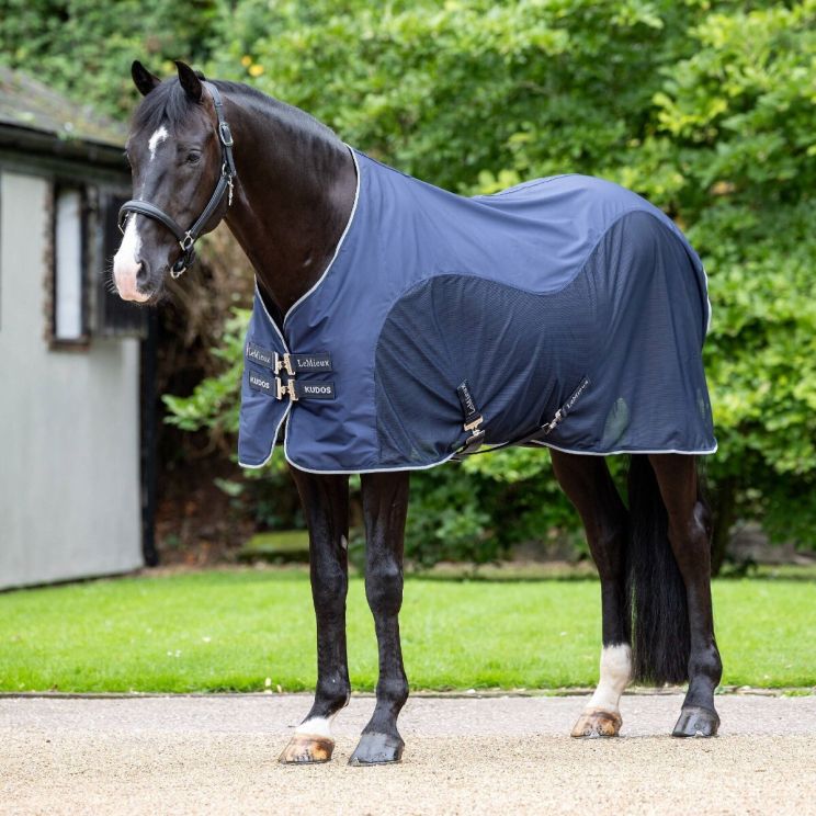 Lemieux Kudos Hybrid Cooler Navy