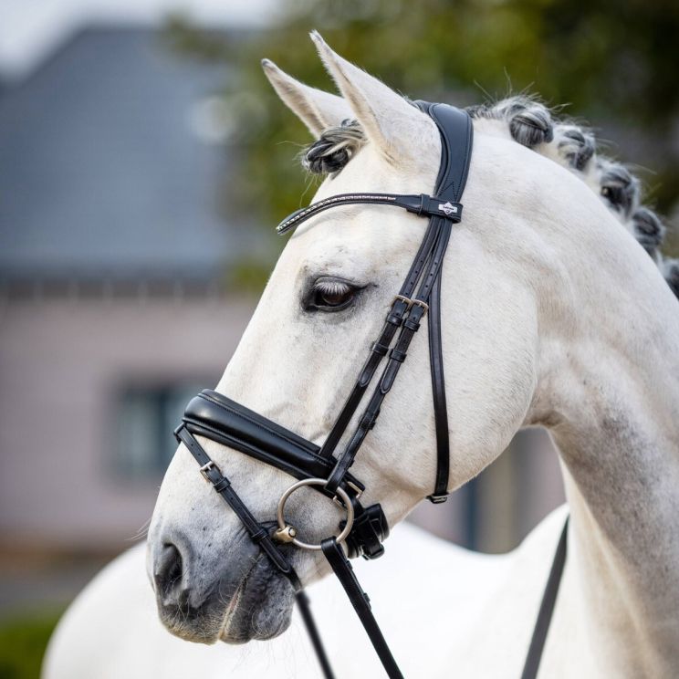 Lemieux Bridle Kudos Classic Dressage Black