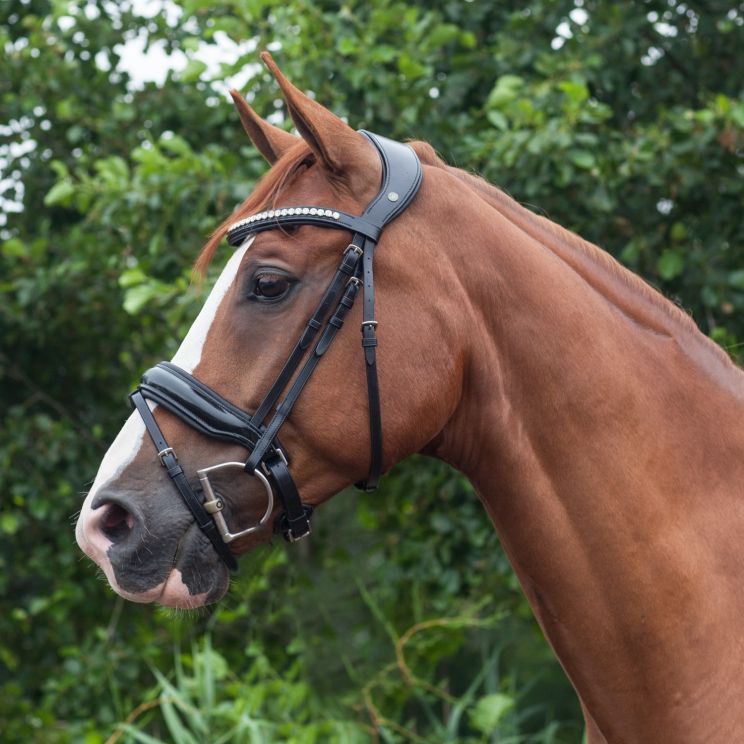 LJ Leathers Superior