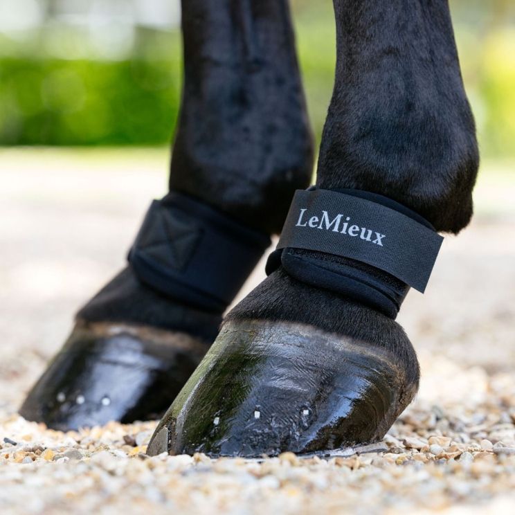 Lemieux Pastern Wrap Neoprene