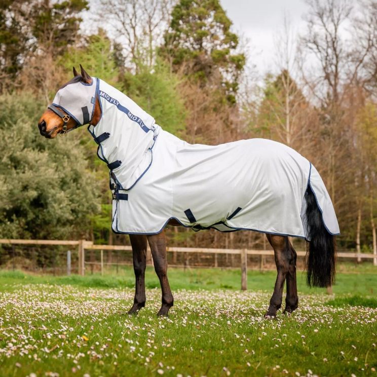 Amigo mio fly rug Grey
