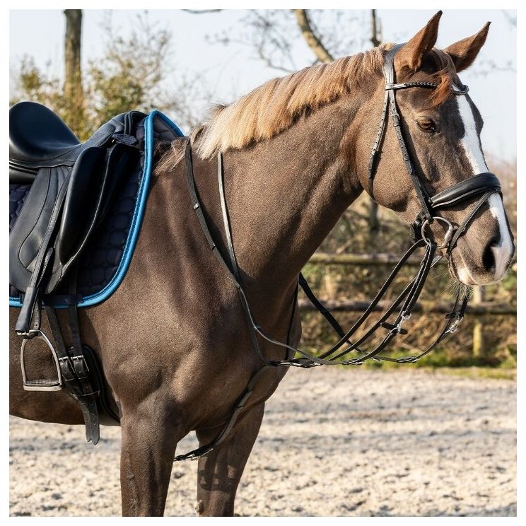 QHP Thiedeman Rein Set Horse