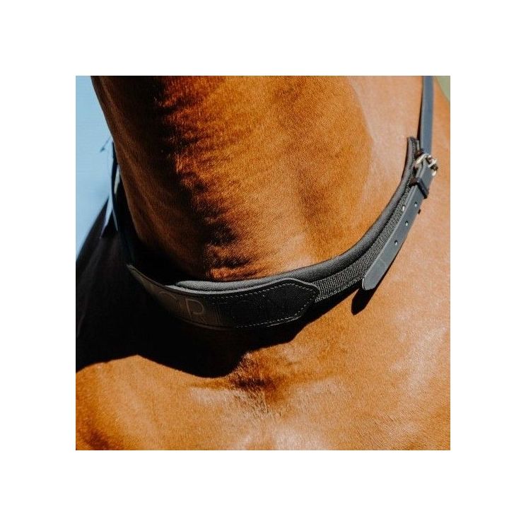 Norton Bareback Neckrope