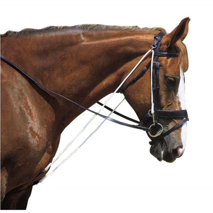 Norton Club Chambon with Pulleys 