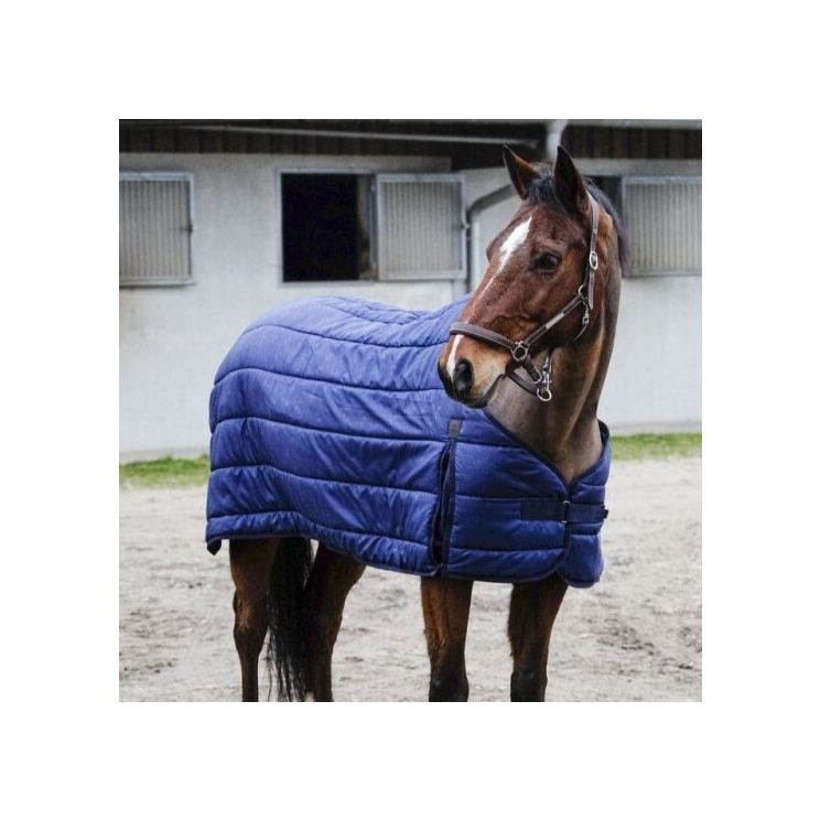 Equithème Under Rug Classic 100 G