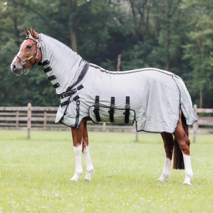 presteq vliegendeken big neck