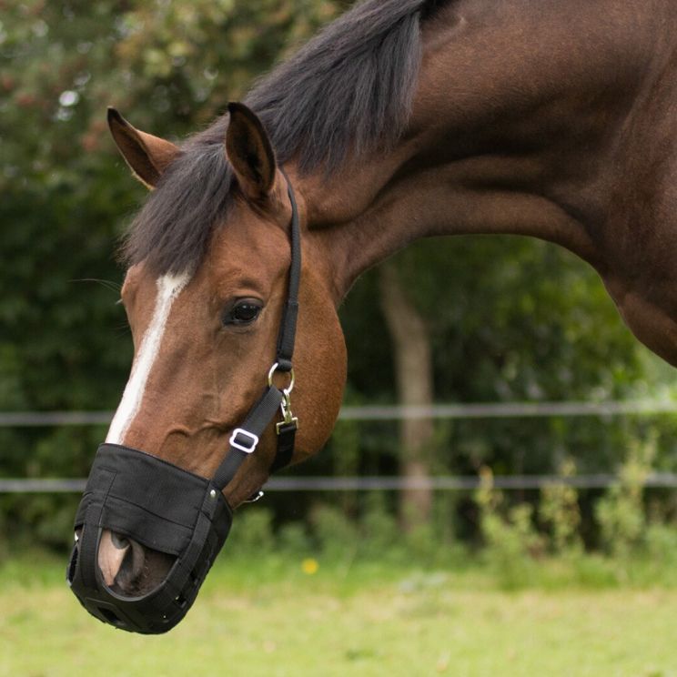 QHP Graasmasker met neusgaten