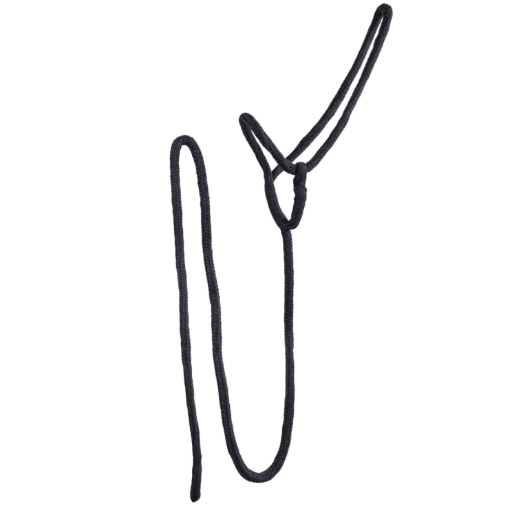 QHP Lead Halter Black