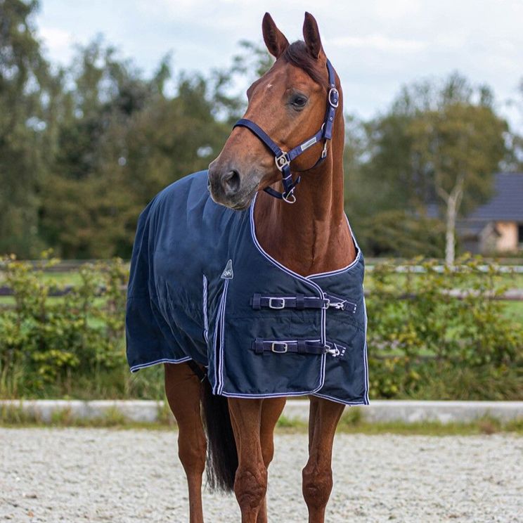 QHP Turnout Rug Luxury 50gr
