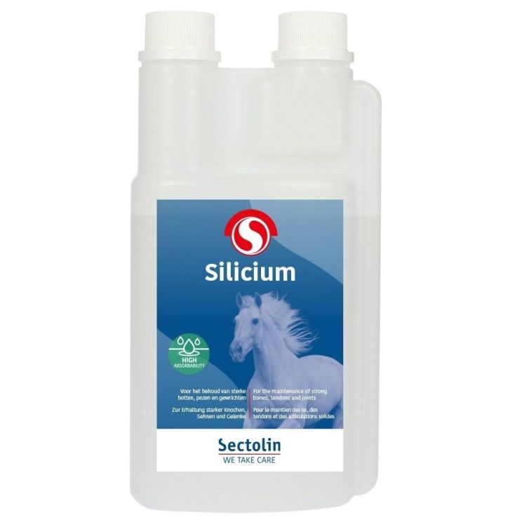 Sectolin Silicium
