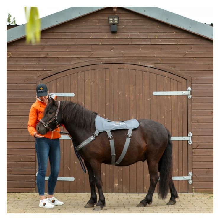 Equilibrium Massage Pad Pony