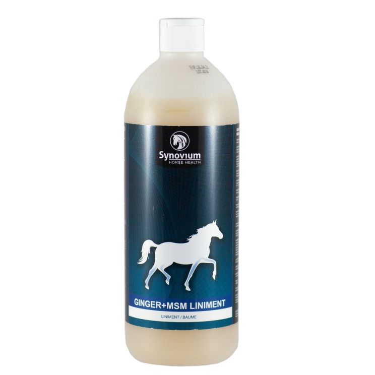 Synovium Ginger msm