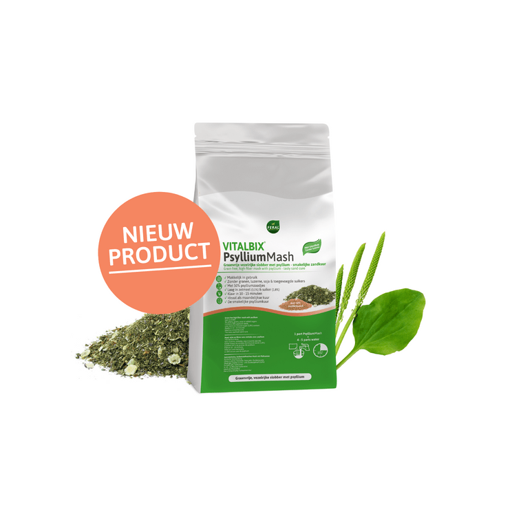 Vitalbix PsylliumMash