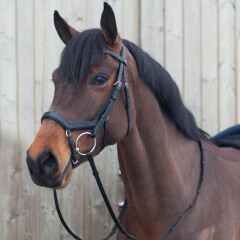 Busse turnout rug 50 g