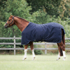 Dominick Paddock Rug 350 g
