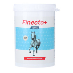 Finecto Horse