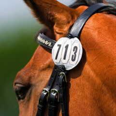 Equithème Competition Numbers Bridle