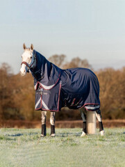 LeMieux Kudos Thermo Layer Turnout Rug 300g