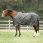 Dominick Regendecke 600D Cosy