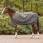 Dominick Regendecke 600D Cosy