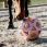 Kentucky Relax Horse Play & Hay Ball Rose Paddock