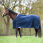 Dominick Mesh Cosy Combi Cooler