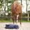 QHP Hay Pillow Navy