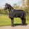 QHP Winter Regendeken turnout Big neck 300gr