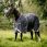 Rambo Optimo Plus Bundle Turnout Grey