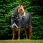 Rambo Winter Rug 1680D 100g Plus Black