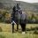 Amigo Turnout Rug FieldSafe Reflectech Plus 1200D 50g