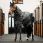 Horseware Stable Rug Plus Easy-Layer 200g (Medium)