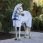 Amigo Hoody Ripstop Hals Azure