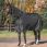 Back On Track Outdoor Rug Obsidian 0G