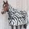 Bucas Buzz Off Zebra