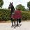 Bucas Show-Line Fleece Rug Burgundy