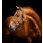 Horseware Signature Leather Headcollar Brown