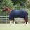 Dominick Winterdecke 150 g Paddock 2023