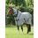 Equiline Fly Rug Lemonfly