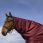 Equitheme Tyrex 1200D Neck Cover 0gr Burgundy