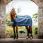 Horseware Dry Liner