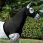 Lemieux Hood Lycra Black