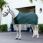 Lemieux Scrim Rug Green