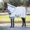 Lemieux Arika Field Rug