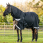 LeMieux Kudos Winterdeken Neo-Turnout 200g