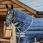 Lemieux Arika Hood Stable 100 gr-XL